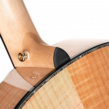 Электроакустика Cort Gold-Passion-WCASE-NAT