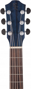 Электроакустика BATON ROUGE AR21S/GACE-BU