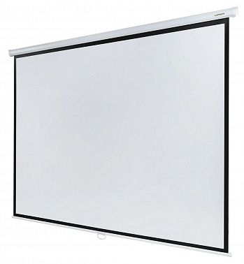 Экран Lumien Eco Picture LEP-100111