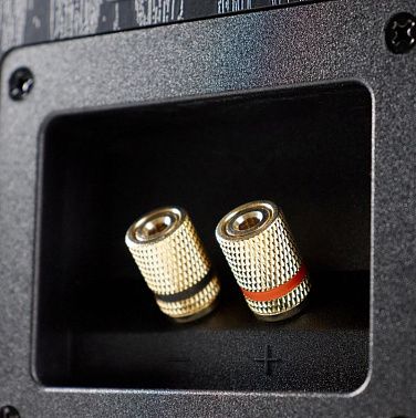 Акустическая система Radiotehnika S-20NA Black Ash