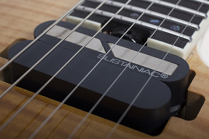 Электрогитара SCHECTER C-1 FR-S SLS ELITE ANQFB