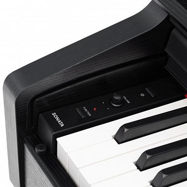 Цифровое пианино ROCKDALE Sonata Rosewood