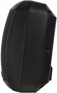 Настенная акустическая система INTREND ITSPK-MSK4-B