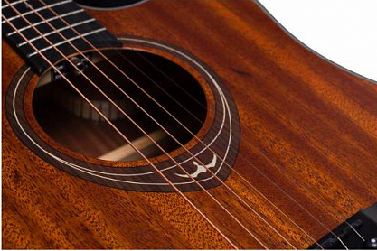 Акустическая гитара FLIGHT D-165C SAP