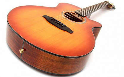 Акустическая гитара ARIA TG-1 LVS