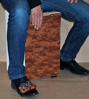 Тамбурин Мозеръ TFF-1