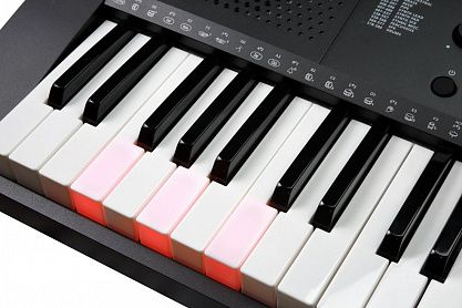 Синтезатор KURZWEIL KP90L LB