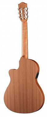 Электроакустика Alhambra 8.010 Z-Nature CT EZ