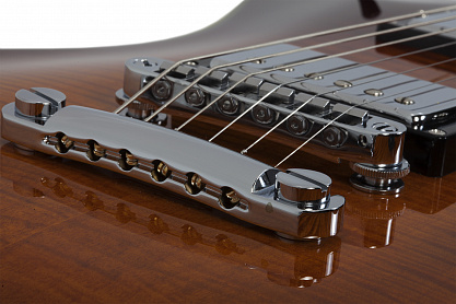 Электрогитара SCHECTER TEMPEST CUSTOM FVSB
