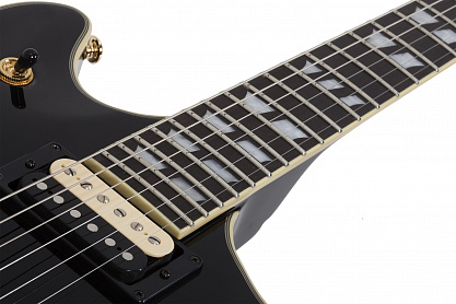 Электрогитара SCHECTER TEMPEST CUSTOM BLK