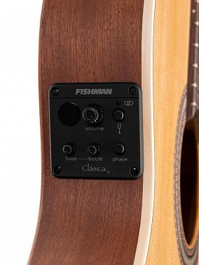 Электроакустика Alhambra 8.010 Z-Nature CT EZ