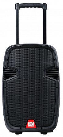 Акустическая система Leem PR-12HR