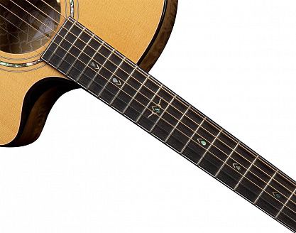 Электроакустика Cort Gold-Edge-WCASE-NAT