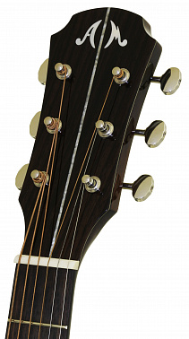 Электроакустика ARIA MSG-02CE BS
