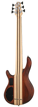 Бас-гитара Cort A6-Plus-FMMH-OPN