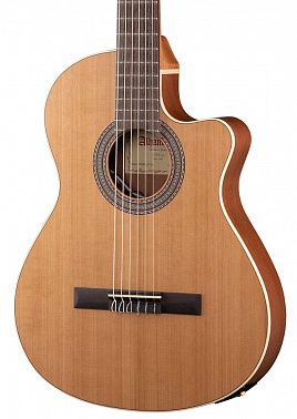 Электроакустика Alhambra 8.010 Z-Nature CT EZ