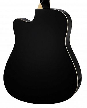 Акустическая гитара HOMAGE LF-4100-D