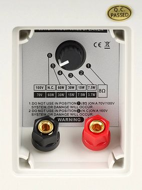 Настенная акустическая система INTREND ITSPK-MSK6-W