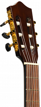 Электроакустика STAGG SCL60 TCE-NAT