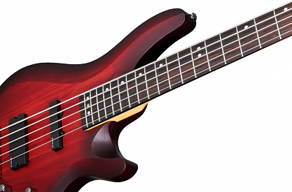 БАС-ГИТАРА SCHECTER C-5 CUSTOM TCS