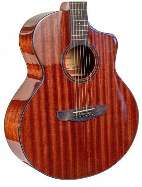 Акустическая гитара Omni SC-12 NM
