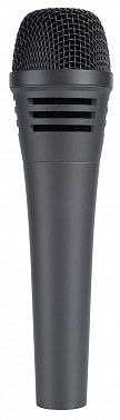 Микрофон Icon D2