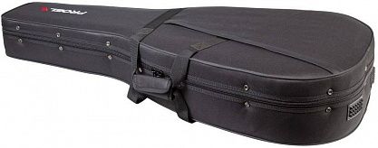 Нейлоновый кейс PROEL PFOAM10