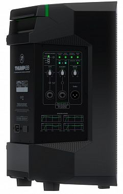 Портативная акустическая система Mackie Thump GO