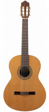 Классическая гитара Altamira N100+