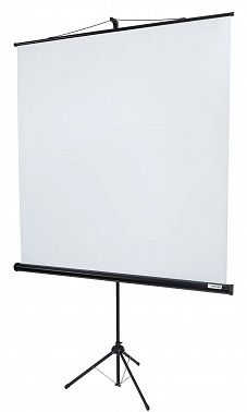 Экран Lumien Eco View LEV-100102