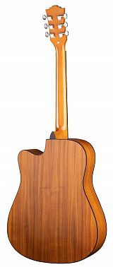 Акустическая гитара Ramis RA-G02C