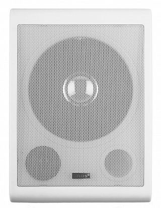 Громкоговоритель настенный TADS DS-638