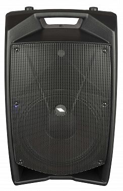 Акустическая система PROEL V12PRO