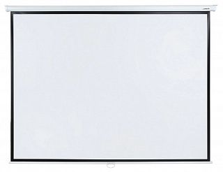 Экран Lumien Eco Picture LEP-100111