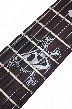 Электрогитара SCHECTER PETE DEE PT BLK