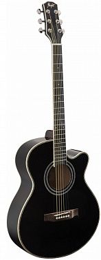 Гитарный набор FLIGHT F-230 BLK PACK