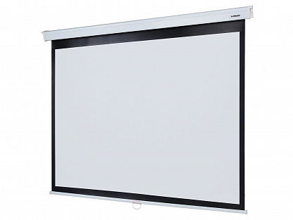 Экран Lumien Master Picture LMP-100130