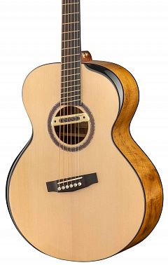 Электроакустика CORT Cut-Craft-Limited-WCASE-N