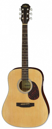 Акустическая гитара ARIA ADW-01 N