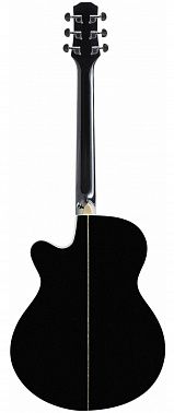 Гитарный набор FLIGHT F-230 BLK PACK