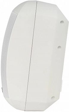 Настенная акустическая система INTREND ITSPK-MSK4-W