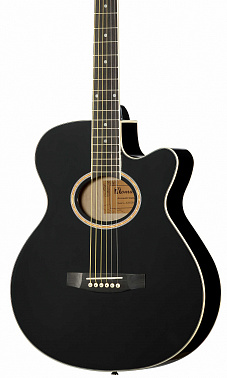 Акустическая гитара HOMAGE LF-401C-B