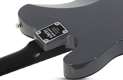 Электрогитара SCHECTER PT EX DORIAN GRAY