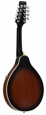 МАНДОЛИНА ARIA AM-20