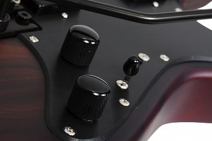 SCHECTER SUN VALLEY SUPER SHREDDER EXOTIC ZIRICOTE