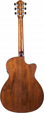 Леворукая электроакустика BATON ROUGE AR21C/ACE-L