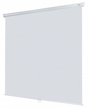 Экран Lumien Eco Picture LEP-100105