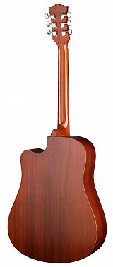Акустическая гитара Ramis RA-G01C