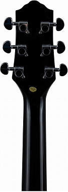Акустическая гитара FLIGHT AG-210 BK