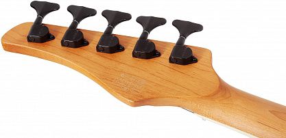 Бас-гитара SCHECTER C-5 STANDARD CS